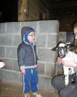 P1090267.jpg