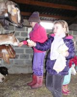 P1130419.jpg