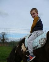 P1130993.jpg