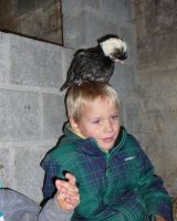 P1080315.jpg