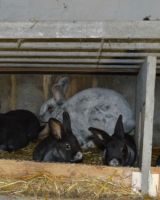 DSC_1103.jpg