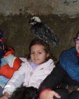 29-30-december