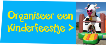 Organiseer een kinderfeestje